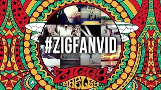 "I Get Up" – Ziggy Marley (fan Instagram lyric video) | FLY RASTA