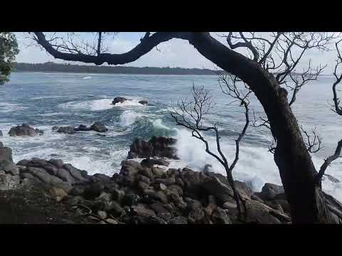 Beautiful Newzealand Beach ⛱️🏖️