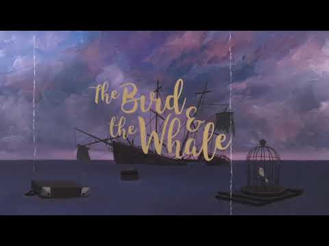 The Whale And The Bird|Tribute Video|96 Movie|Kaathalae Kaathalae Song|96 Song|True Love Status |