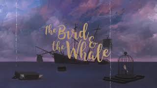 The Whale And The BirdTribute Video96 MovieKaathal