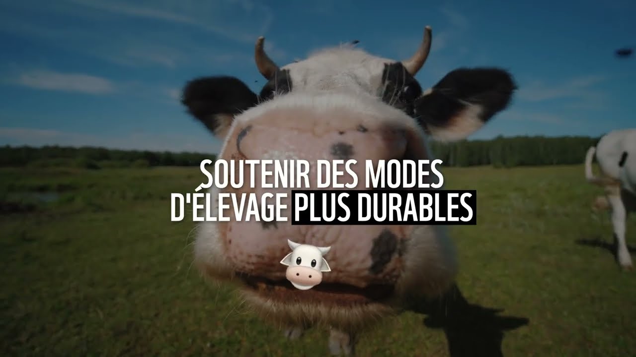 LE JOUR DU DÉPASSEMENT - 2024