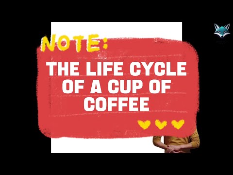 The life cycle of a cup of coffee