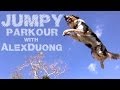 Alex & Jumpy - The Parkour Dog 