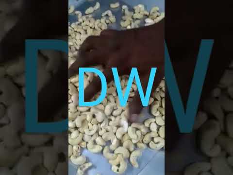 Whole DW Cashew Nuts Premium