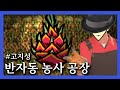 굶지마 플렌테이션 농사공장장