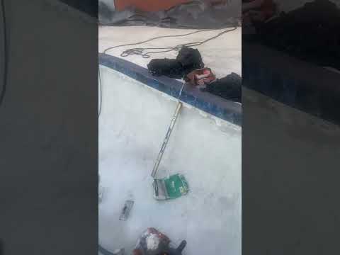 Still Going In Don’t Need Nobody Still In The Kitchen Feel Like Gotti 🦾 - @BOBBYFISHSCALE