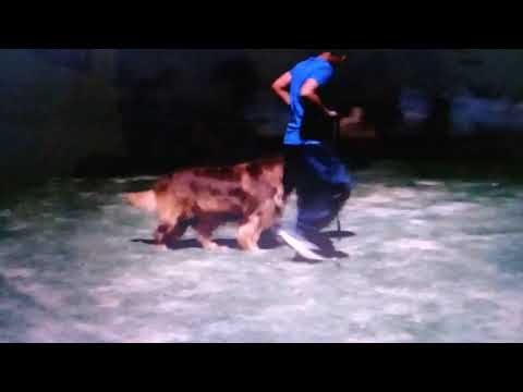 Shahlan Khan with ZORRO