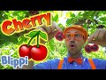 BLIPPI Learn About Cherries ABC 123 Moonbug Kids Fun Cartoons Learning Rhymes