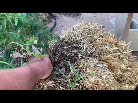 5-2-24-20 a Update build site gravel and sad straw bale garden