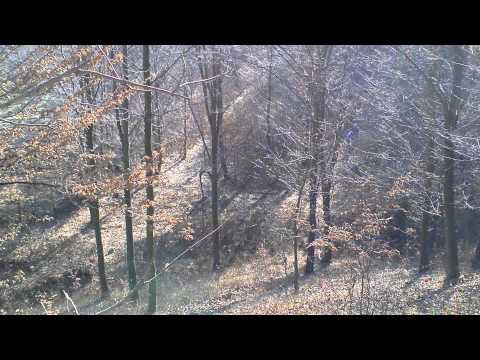 Urcari Cazaturi Yamaha YZF 426 & KTM SX 125