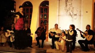 Le gitan. Chico &amp; The Gypsies clip. Daniel Guichard