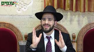 ברכת האילנות - כל הסודות והכללים | הרב נריה ברבי