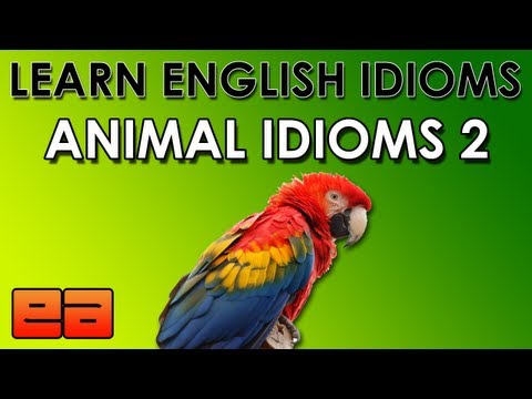 Color Idioms 1 Learn English Idioms EnglishAnyone com