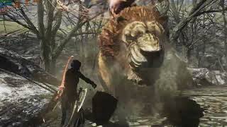 Dragon's Dogma: Dark Arisen - Collectionrevolution - Nexus