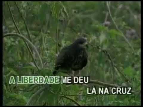 Livre Agora Sou - Edilson Maia