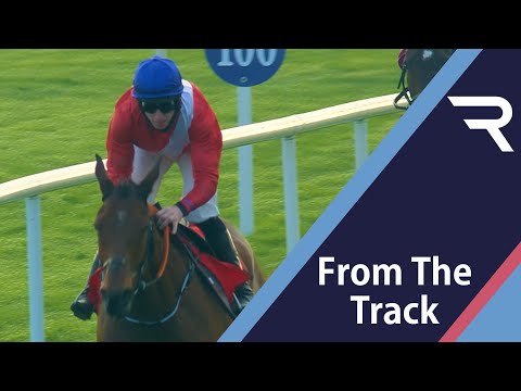 What's going to beat him? Envoi Allen is SIMPLY BRILLIANT at Fairyhouse in the Drinmore Novice Chase