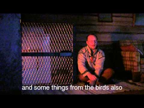 NOT A SONG - A short film portrait of Wimme Saari