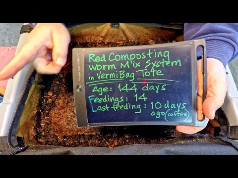 Red composting worm mix in VermiBag at day 144 - vermicompost