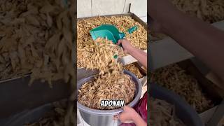 Download lagu 🏡YOGYAKARTA CRISPY WADER FISH☎️ORDER INFORMATION WA - 0859-3040-6409#culinary #food #foodie mp3