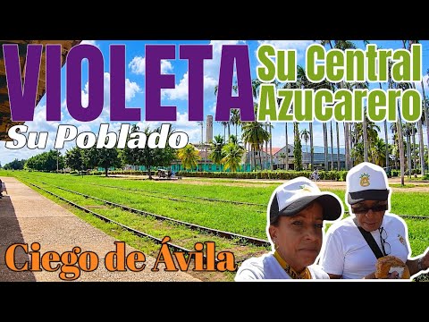Ciego de Ávila || Cómo está en estos tiempos de crisis en Cuba el central VIOLETA y su pueblo?