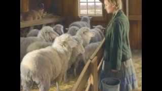 Remind Me, Dear Lord   Alison Krauss and the Cox Family