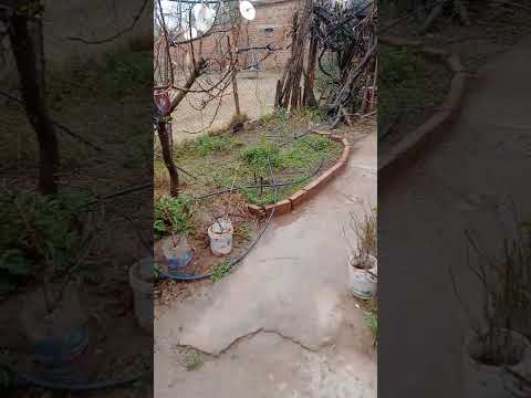 Nieve en San Gerónimo, Ssn Luis