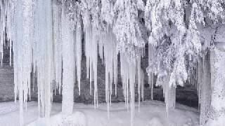 Dave's Gone By #484 (aired 11/15/14): Cainer Able