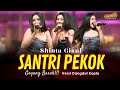 Shinta Gisul SANTRI PEKOK Dangdut Koplo Version