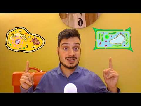 The Cell - Science Explained EASILY