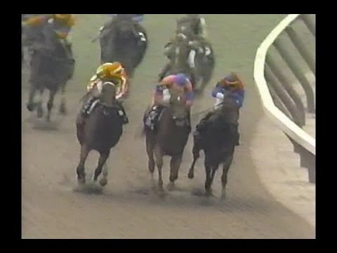 1990 Wood Memorial Stakes : ABC Broadcast