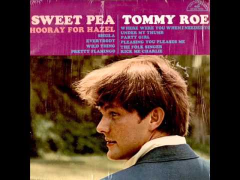 Hooray For Hazel by Tommy Roe on Mono 1966 ABC Paramount LP.