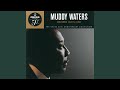 Rollin' Stone - Muddy Waters - Topic Rollin' Stone