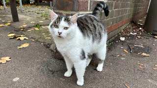 イギリスに移住することを決めました🇬🇧