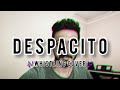 Luis Fonsi - Despacito ft. Daddy Yankee (Whistling Cover)