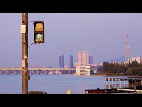 숀(SHAUN) - 여름에 두었다(That Summer) [Official Visualizer]