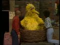 0799 Big Bird Feels Sick