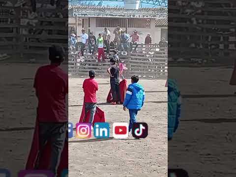 corridas de toros en las fiestas pamatug pelileo Tungurahua Ecuador.. Maycol Morales
