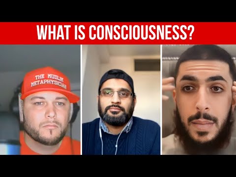 The Hard Problem of Consciousness