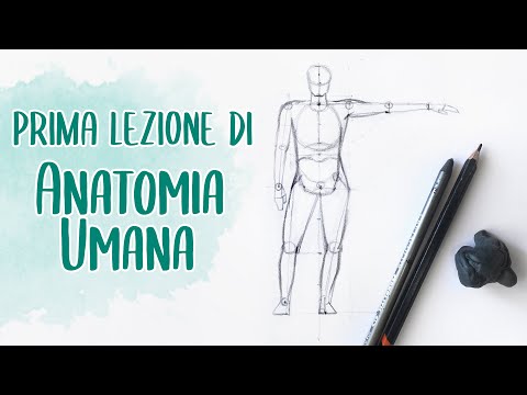 HOW TO DRAW THE HUMAN BODY | First Anatomy Lesson - Basic Structure | Pencil Drawing