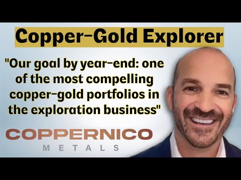 Coppernico Metals Aims to Add USA Copper-Gold Project for Year-Round Drilling says CEO Ivan Bebek
