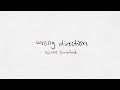 Videoklip Hailee Steinfeld - Wrong Direction (Lyric Video)  s textom piesne