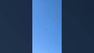【関東の天気】令和8年10月11日(日) #今日のお天気 #青空 #夏日 #秋晴れ #神無月