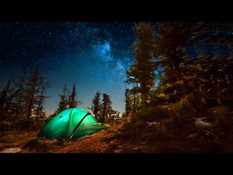 Campfire Sounds - Relaxing Forest and Nature Soundscape: Camping Under the Stars