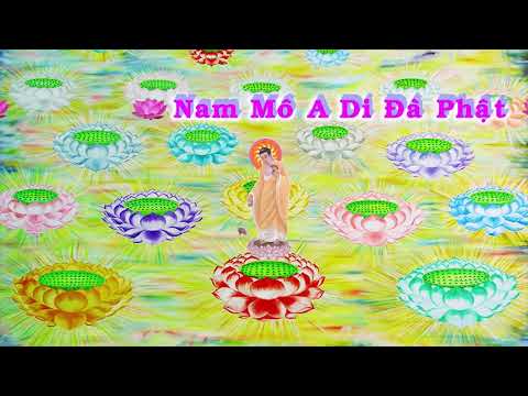 HD | Kinh A Di Đà Sớ Sao Diễn Nghĩa, tập 189 [phụ đề] - Lão Pháp Sư Tịnh Không