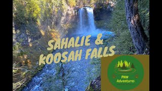 Sahalie Koosah falls