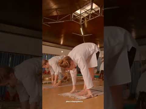 Haritha Yogshala short