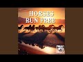 Horses Run Free