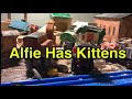 J TP Remakes Alfie Has Kittens