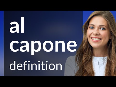 Al capone | AL CAPONE definition