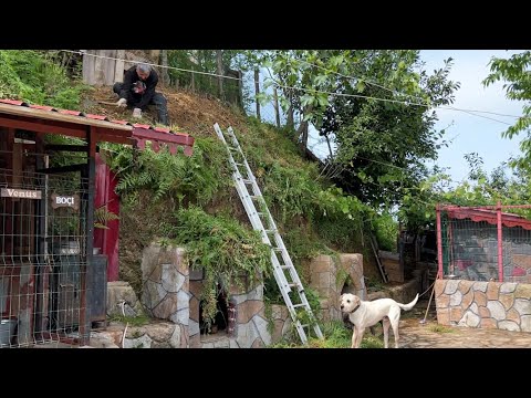 BAHÇE İŞLERİ ÇEVRE DÜZENLEMESİ DEVAM EDİYOR